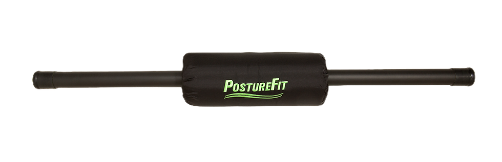 PostureFit weighted posture bar